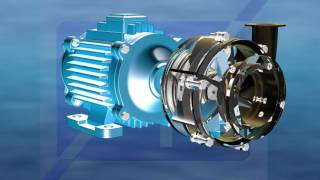 Mechanical seals for pumps wwwavtokomtgcom Analogs of mechanical seals [upl. by Tremain918]