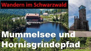 Mummelsee und Hornisgrindepfad Wandern im Schwarzwald [upl. by Eidnim]