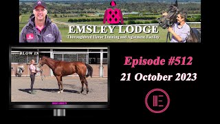 Oct 21 2023  Emsley Lodge Report [upl. by Lezirg]