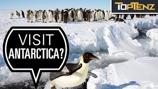 Some Reasons you SHOULD Visit Antarctica [upl. by Dorsy]