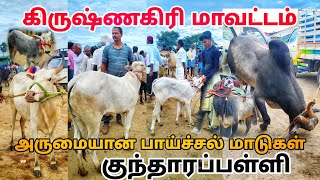 2792024 kundarapalli Friday market Krishnagiri district அருமையான பாய்ச்சல் மாடுகள் கிருஷ்ணகிரி [upl. by Luhem]