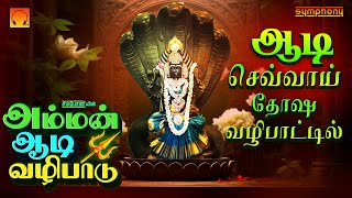 ஆடி செவ்வாய் தோஷ வழிபாட்டில்  அம்மன் ஆடி வழிபாடு  அம்மன் பாடல்கள் Amman Adi Vazhipadu Amman Songs [upl. by Ma]