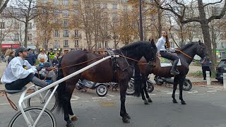 quotHalte à la taxequot la filière hippique manifeste sa colère [upl. by Ordnasil]