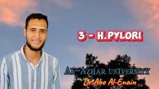 3  Hpylori  Infection course  AlAzhar University [upl. by Yaeger]