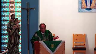 Father DePalmas Homily for the 23rd Sunday in Ordinary Time [upl. by Rodenhouse14]