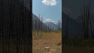 Waterton lakes national park Alberta Canada [upl. by Oneg43]