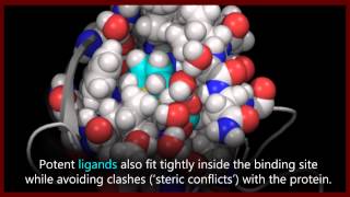 A basic introduction to drugs drug targets and molecular interactions [upl. by Ikeda]