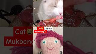 cute cat mukbang [upl. by Rosecan]