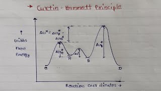 Curtin Hammett Principle  Organic chemistry  MSc Semester 1 Notes [upl. by Hyacinthie]