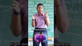 Simple Exercise To Fire Up Your Brain  DrVaishali Ravishankar [upl. by Atenaz]