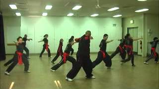 Choy Lee Fut Pennant Hills 4th Anniversary Group Demo 230612 [upl. by Chlori]