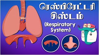 ரெஸ்பிரேட்டரி சிஸ்டம்  The Respiratory System  Dr Binocs Tamil  Kids Educational Video in Tamil [upl. by Rawden]