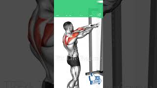 5 Best Resistance Band Shoulder Exercises for Bigger Stronger Delts [upl. by Jair]