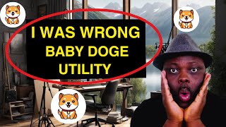 Baby Doge and BabySwap Not Connected THE TRUTH [upl. by Vere]