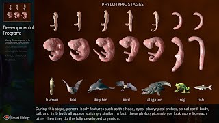 Evolution Smart Biology style 60 sec trailer [upl. by Bonar]