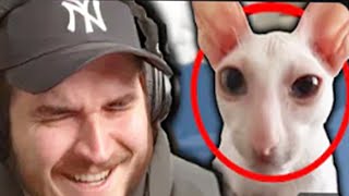 Ranking Jschlatts New REACTING to Viral Tiktoks [upl. by Browning846]