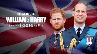 William amp Harry les frères ennemis 24  Comment Diana a semé les graines de la discorde [upl. by Solange]