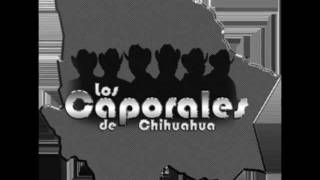 La yaquesita Los Caporales De Chihuahua [upl. by Gaeta]