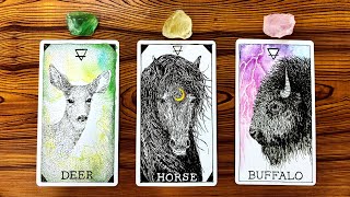 THE HONEST TRUTH ABOUT YOUR CURRENT SITUATION 🍀🌙🔮  Pick a Card Tarot Reading [upl. by Enrica406]