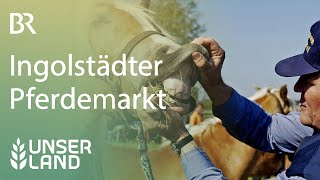 Ingolstädter Pferdemarkt  Unser Land  BR [upl. by Hoffmann]