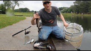 How to catch catfish with worms  fishing for catfish in a lake [upl. by Aihsaei]