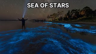 Sea of Stars  Vaadhoo Island Maldives [upl. by Groos891]