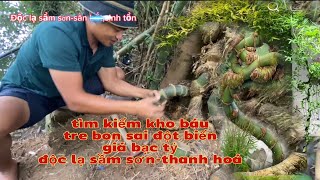 Tìm kiếm tre bon sai đột biến NTNđộc lạ sầm sơnsăn bắtsinh tồn [upl. by Novit]