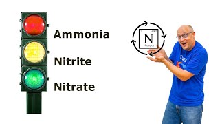 Aquarium Nitrogen Cycle made SIMPLE [upl. by Pirnot]