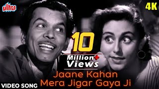 Jaane Kahan Mera Jigar Gaya Ji 4K Song  Johnny Walker Mohd Rafi  Mr and Mrs 55  Evergreen Song [upl. by Eitsrik]