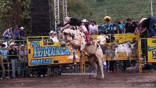 JINETES DE NICARAGUA COSTA RICA Y MEXICO vs LOS MEJORES TOROS OCTUBRE 2017 [upl. by Anavlis]