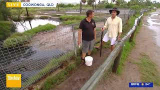 TODAY SHOW Weather Cross  808am Koorana Crocodile Farm [upl. by Laicram]