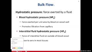 Day 9 BIO 211 720 Lecture FA2024 Circulatory System [upl. by Shepp]