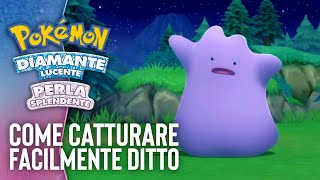 Come trovare facilmente DITTO in Pokémon Diamante Lucente e Perla Splendente [upl. by Doi858]