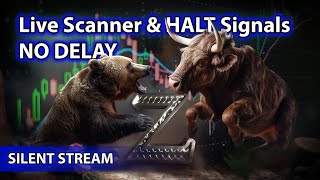 ​🌟Live Scanner Stock Market scanner  Ze Silent Stream voice only 05082024 [upl. by Asit]