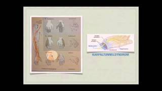 Basiskurs Neurologie Erkrankungen des PNS Teil 1314 [upl. by Carrington]