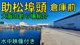 【大阪の海釣り】助松埠頭倉庫前の釣り場を水中映像付きで紹介します。 [upl. by Irrol]