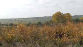 Bodenheim  Landschaft im Herbst [upl. by Crespi]