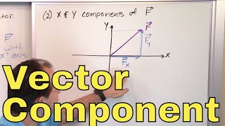 17  Calculating Vector Components in Physics Part 1 Component form of a Vector [upl. by Wyly619]