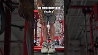 The Most Undertrained Muscle  Tibialis Anterior [upl. by Zerat9]