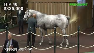 Pretty Birdie sells for 11 million at 2024 Keeneland November [upl. by Uok]