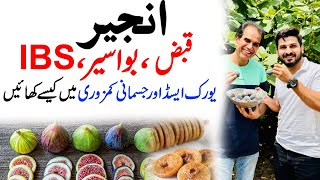 How to eat figs for constipation hemorrhoids IBS uric acid and physical weakness  Dr Shahzad Basra [upl. by Douglas876]