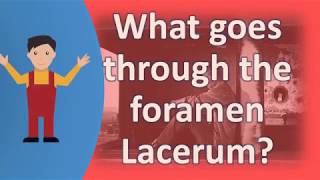 What goes through the foramen Lacerum   Better Health Channel [upl. by Naujad]