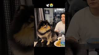 music yeontan edit 7normalboysfromkorea bts btsg boybandfandom boybandgroup btsarmy [upl. by Doy]