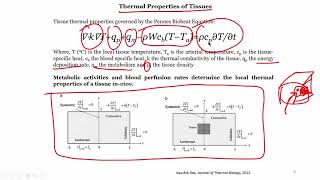 21 Thermal Properties of a tissue [upl. by Llet242]