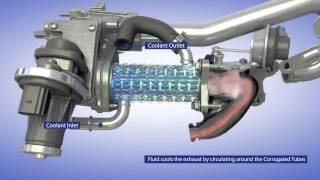 BorgWarner EGR System for Passenger Vehicle Applications [upl. by Nived486]