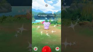 Got shiny ✨ snubbull in Pokemon go [upl. by Henleigh]