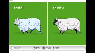 How Dolly the Sheep was cloned [upl. by Anib]