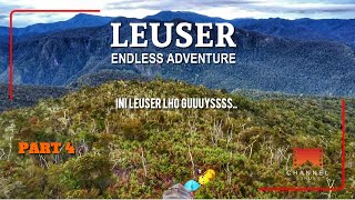 Pendakian Bersama  Leuser  Endless Adventure Part 4 [upl. by Nowtna763]