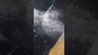 🦚Rani Duduma Water Fall💙🌴  koraput odisha  trendingshorts koraputia odisha waterfall [upl. by Bittencourt]