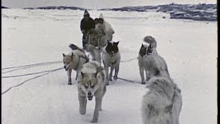 An InuitEskimo family in the Arctic 1959 [upl. by Maya]